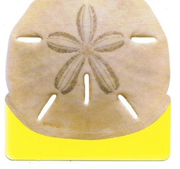 [TX10580] Mini Sand Dollar Mini Accents (3'' (7.5cm) (36 pcs)