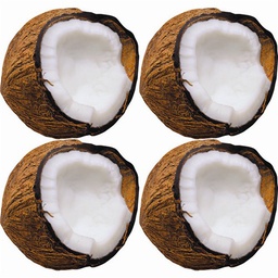 [TX10585] Monkey Mischief™ Coconuts Mini Accent (3''(7.5cm)(36 pcs)