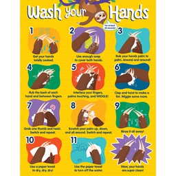 [CDX114308] ONE WORLD HANDWASHING CHART ( 55cm x 43cm)