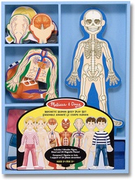 [MD3589] Magnetic Human Body Ages:3+ (24pcs)(21cmx10cm)