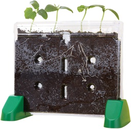 [EI5101] Sprout &amp; Grow Window Plant Growing Kit Ages:5+ (10 wonder soil)