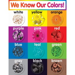 [TFX2503] COLORS CHART GR PK-5 (slightly damaged) (55cmx43cm)