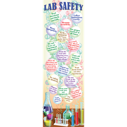 [MCXV1686] Science Lab Safety Colossal Poster Middle /Upper Grades BB Set (1pc)