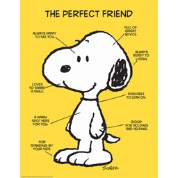 [EU837039] PEANUTS THE PERFECT FRIEND CHART (17&quot; x 22&quot;)  (43cm x 56cm)