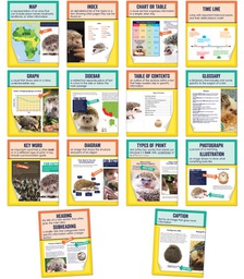 [CD106011] NONFICTION TEXT FEATURES MINI POSTERS  (14pcs)